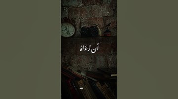 كلا إن الانسان ليطغى ♥ القارئ محمد صديق المنشاوي رحمه الله ♥