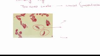 IGCSE Biology Complete Revision on Mutation - 0610 for CIE/CIAE exams of 2026, 2027, 2028, 2029