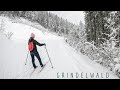 Grindelwald Switzerland Cross-country skiing  4K