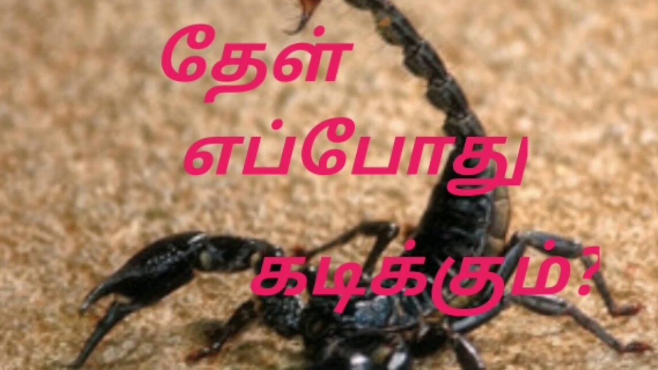 how to attak scorpion? tamilrockers.wc