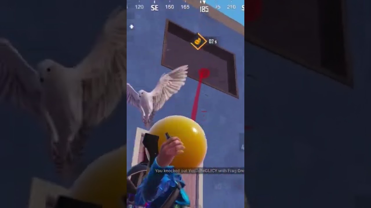 IQ Squad Wipe in Tournament | 1v4 Clutch | 