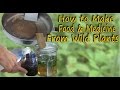 Wild Edible & Medicinal Plant Recipes - A Video Guide