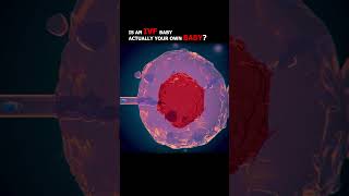 Is IVF Baby Yours?" Dr. Sana Naqash Answers | RJ Harleen Podcast Clip #conceive #fertilitydoctor