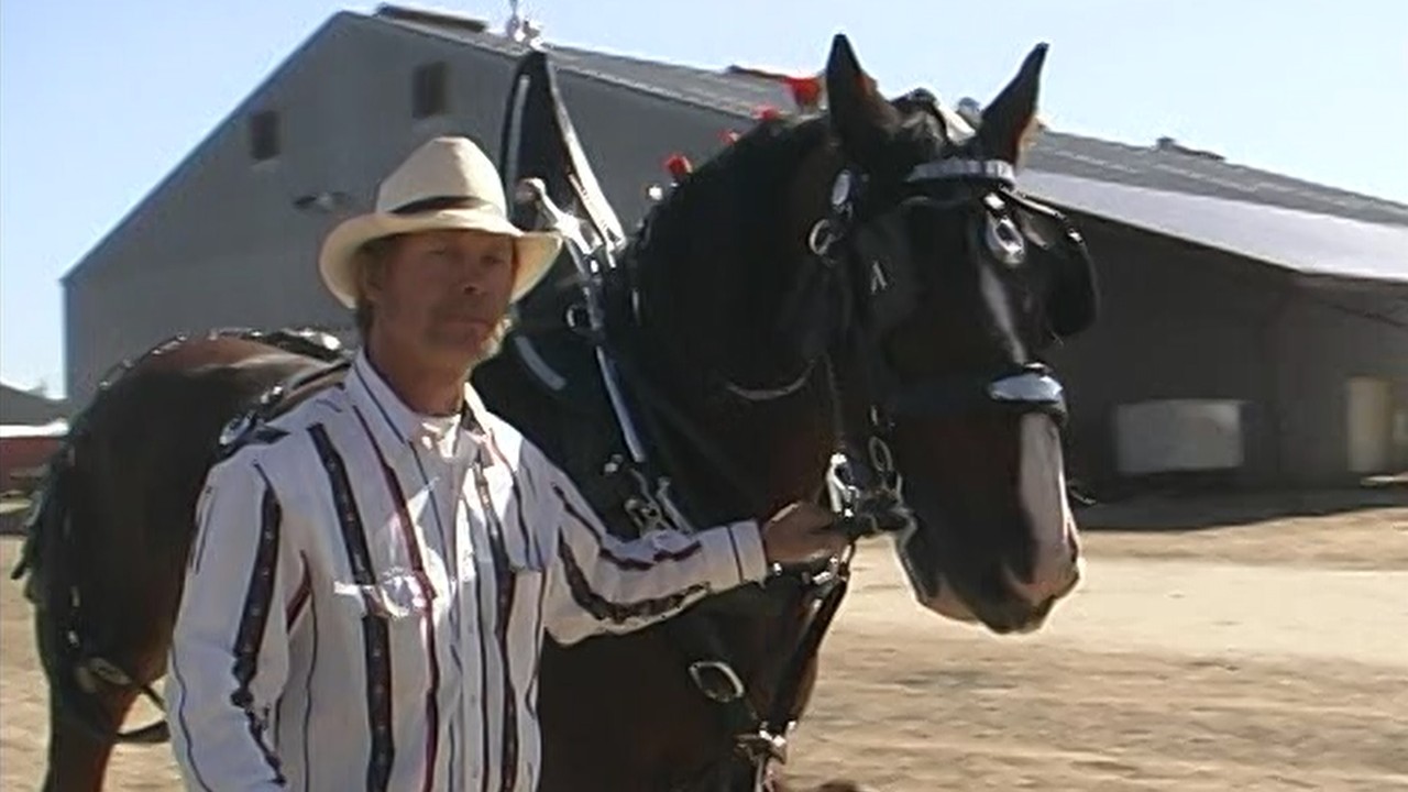Draft Horse Show, Bonner County (2001)