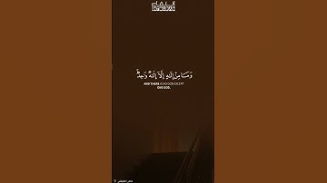 #ماهر_المعيقلي #لايك #الرحمن #اكسبلور آيات من القرآن الكريم ♥️♥️