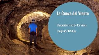Cueva del Viento: ¿sabías qué?