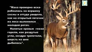 Буктрейлер по книге Маха Камиля Зиганшина Буктрейлер по книге Маха Камиля Зиганшина