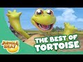 The Best Of Tortoise Jungle Beat Compilation Full Episodes 