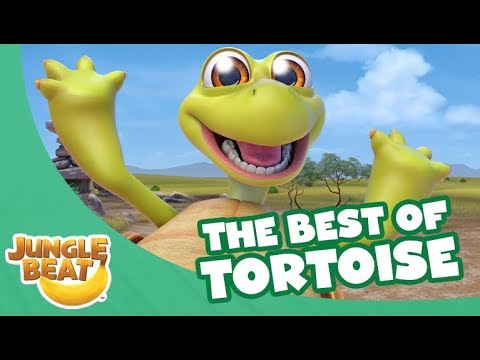 The Best of Tortoise - Jungle Beat Compilation [Full Episodes]