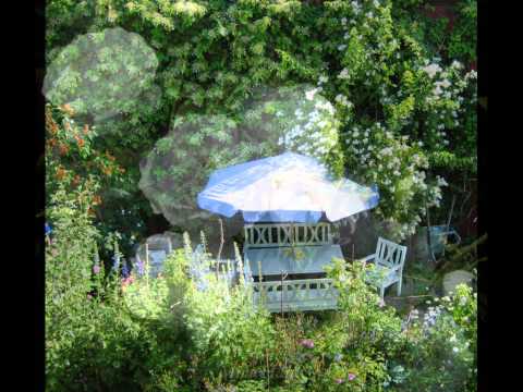 Love of the Old Fashioned Garden Roses