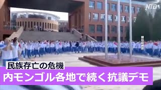 モンゴル語抹殺の危機 内モンゴル各地で続く抗議デモ