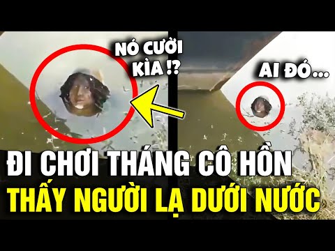 Video: Tại sao cây thông của tôi lại bị rơi kim?