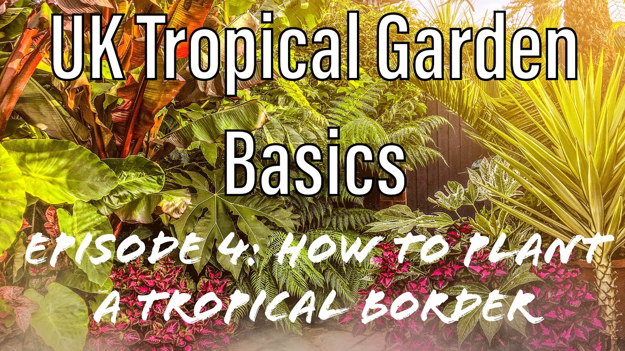 UK Tropical Garden Basics 4: How to Plant a Tropical Border from Inspiration to Design & Planting