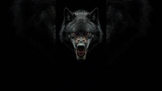 This Wolf Howl Sounds So Real 🐺