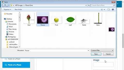 Flash Cards Creation H5P Tutorial