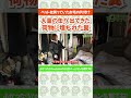【大量の缶が出てくる現場】ペットを飼っていたお宅！散乱した荷物に埋もれた糞のお片付けと清掃 #shorts
