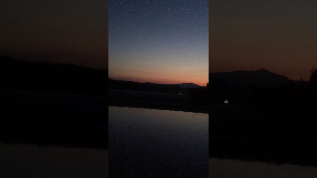 カエルの合唱【琴どら】