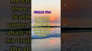 Today's Bible Verse is Psalm 91:4 - Trust God
