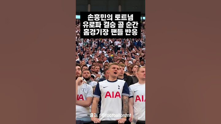 손흥민의 토트넘 유로파결승 골 순간 토트넘 홈경기장 팬들 반응