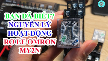Hiểu Rõ Cấu Tạo Nguyên Lý Hoạt Động và Ứng Dụng của Rơ Le Trung Gian Omron MY2N