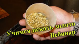 Вебинар. Где и как искать золото. Учимся искать и добывать золото.