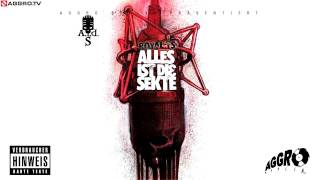 ROYAL TS (SIDO & B-TIGHT) RAP GEHT AUCH GUT - ALLES IST DIE SEKTE - ALBUM - TRACK 02