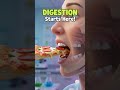 🤯 Digestive System in 20 Seconds! | Hinglish + English | Class 10 Biology #Shorts