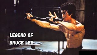 The Iconic Martial Artist And Actor