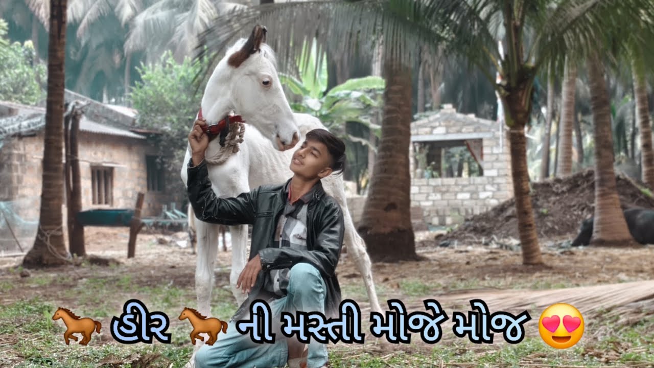 🐎 હીર 🐎 ની મસ્તી મોજે મોજ 😍