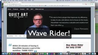 Quiet Art Defaulter and Wave Rider