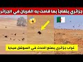 شاهدوا مواطن جزائري يتفاجأ بما قامت به الغربان في الجزائر غراب جزائري يصنع الحدث في السوشل ميديا 