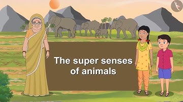 Class 5 EVS Chapter 1 Super Senses cbse ncert english Environmental studies Looking Around (Part 2)