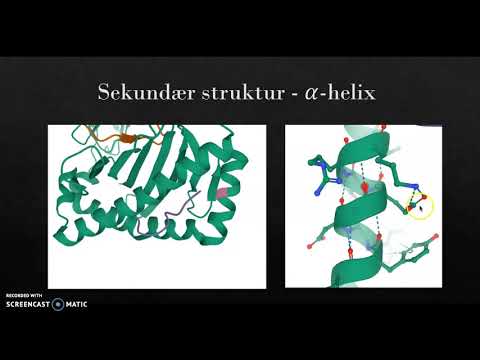 Video: Identificering Af Proteinkomplekser Baseret På En Kantvægtalgoritme Og Kernefæstet Struktur