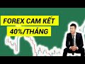 Mô hình giá forex: Mô hình 2 đỉnh (double top) - mô hình 2 đáy(double bottom)siêu lợi nhuận