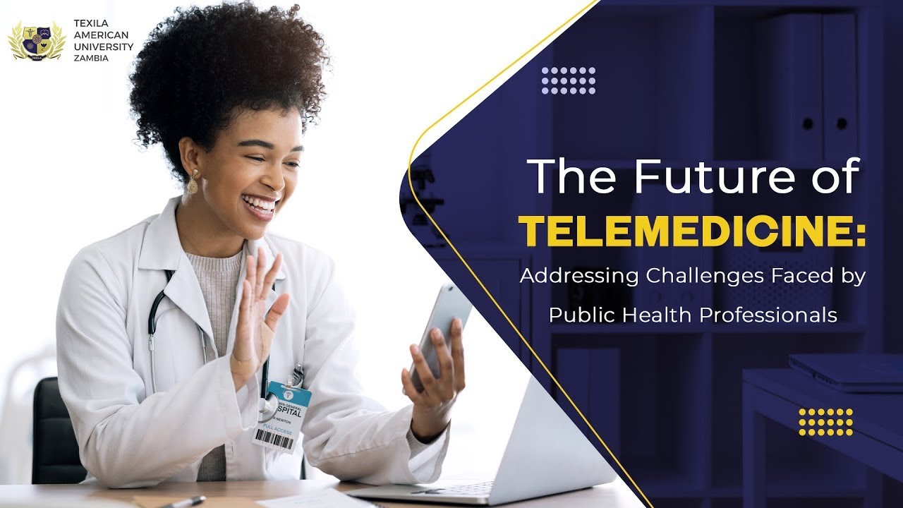 The Future of Telemedicine: Addressing Challenges Faced by Public ...