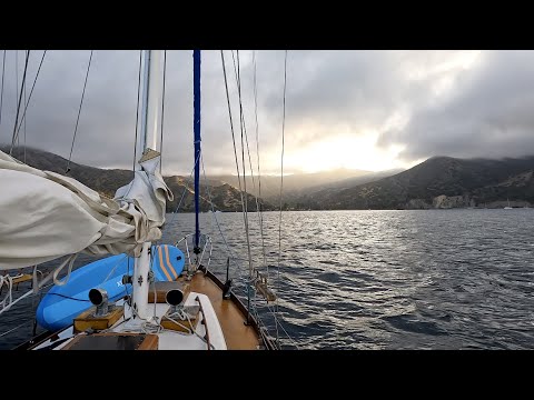 Video: Ar kas nors plaukė į Catalina?