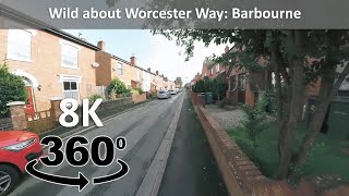 Wild about Worcester Way in 8K 360° VR: Barbourne