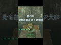 【ティアキン】うちのリンクさんは前向きなので ~ 操縦下手くそ選手権 ~【ゼルダの伝説 ティアーズ オブ ザ キングダム】#shorts #ティアキン