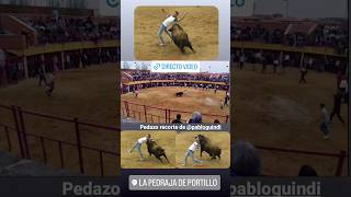 Recorte Pablo Guindi Toro Bravo La Pedraja Portillo #Shorts