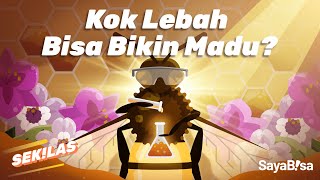 Proses Lebah Menghasilkan Madu | SeKiLas