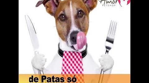 Alimentador automático para Pets  ( PET LIFE )