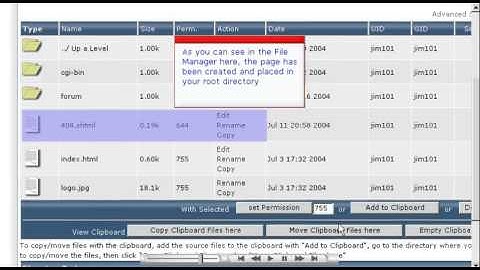 Creating error pages in DirectAdmin