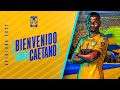 🆕💣 ¡Bienvenido a Tigres, Samir Caetano! 🇧🇷