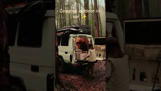 Solo Car Camping in the Wild 🌲🚙 #camping #usa #shorts #carcamping