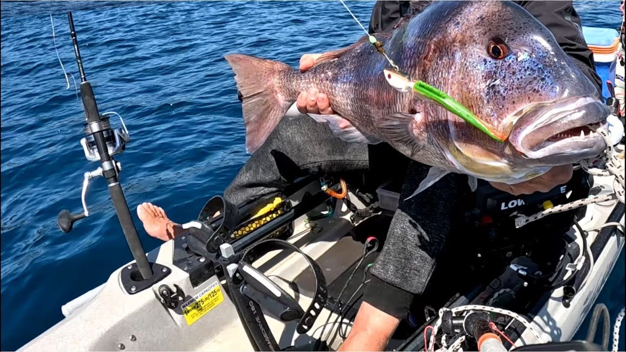 Αυτο ειναι ψαρι !!!