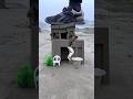 Creative amazing home magical crazy funny videography ideas #short #trending #videography