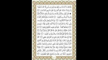 سورة الزخرف سعد الغامدي