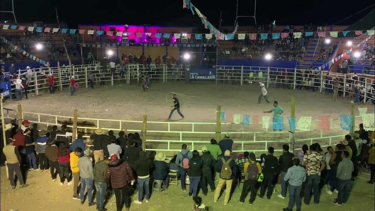 Jaripeo Santa María del Tule YouTube