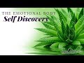 The Emotional Body – Self Discovery