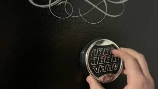 Celebrity Re Programming A Cannon Gun Safe Profile